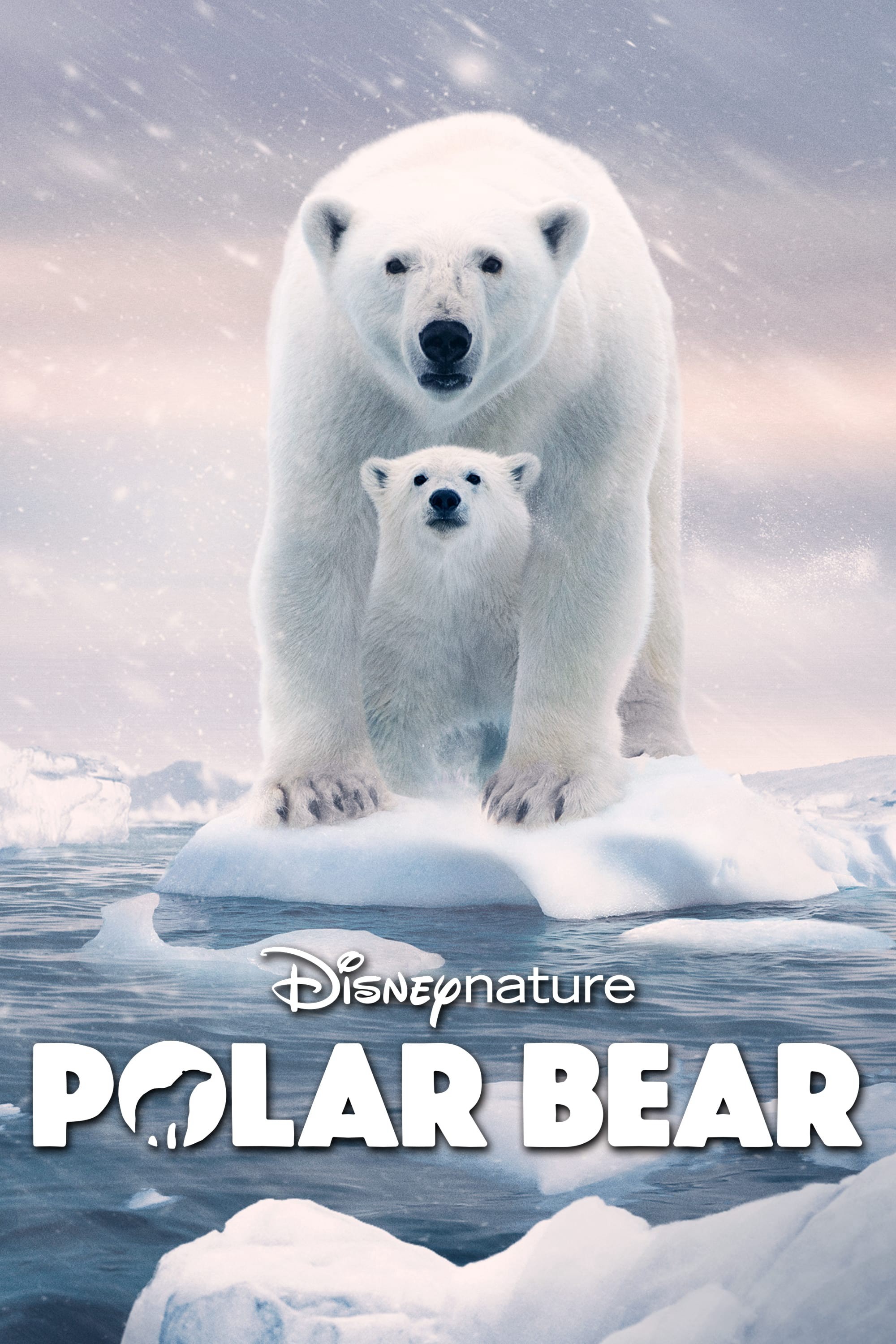 Gấu Bắc Cực | Polar Bear (2022)