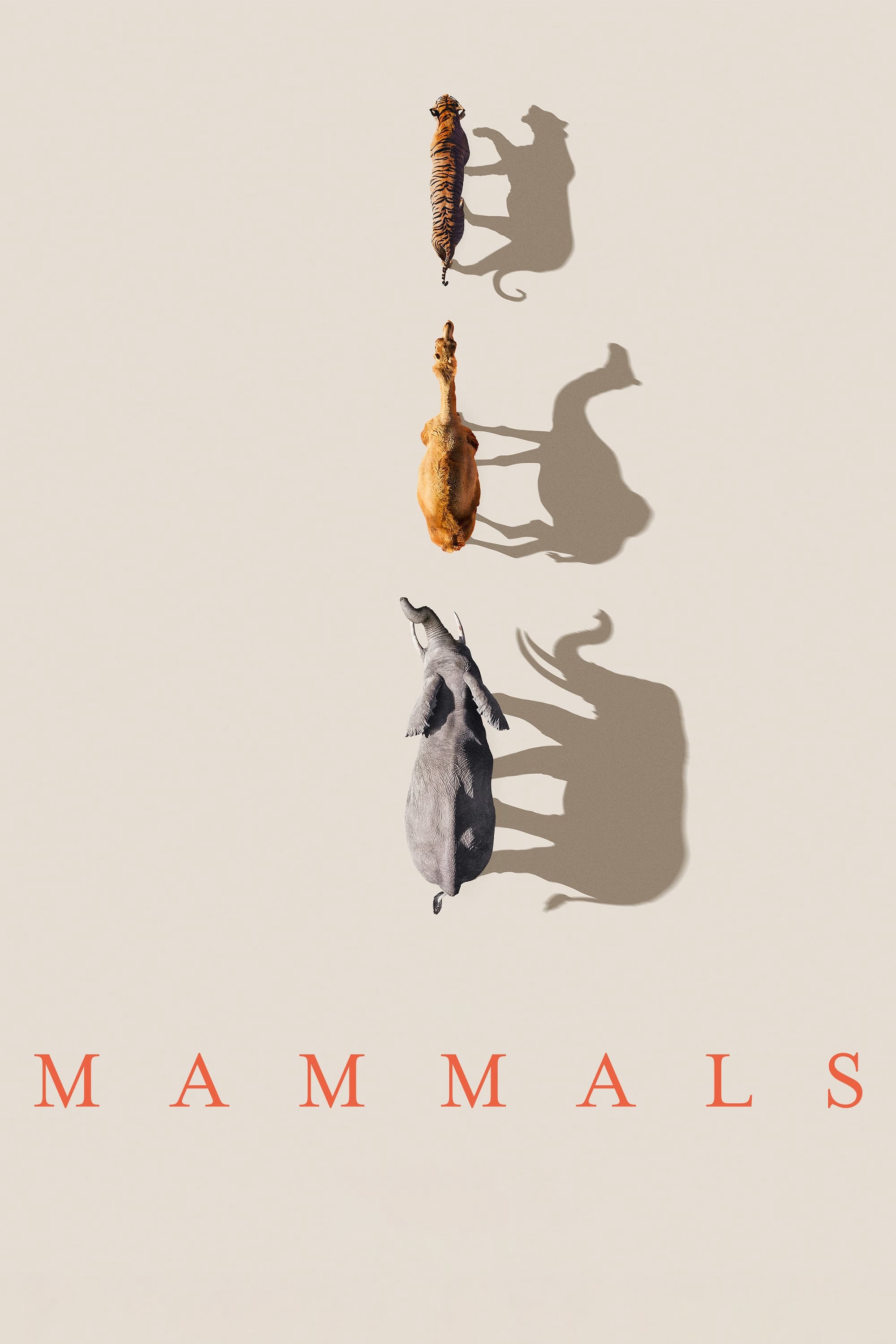 Mammals (2024) | Mammals (2024)