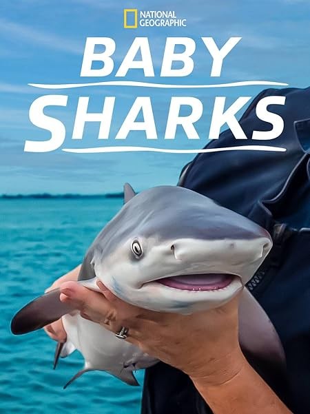 Cá Mập Con | Baby Sharks (2022)