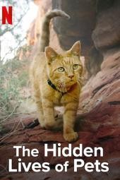 Cuộc sống bí mật của thú cưng | The Hidden Lives of Pets (2021)