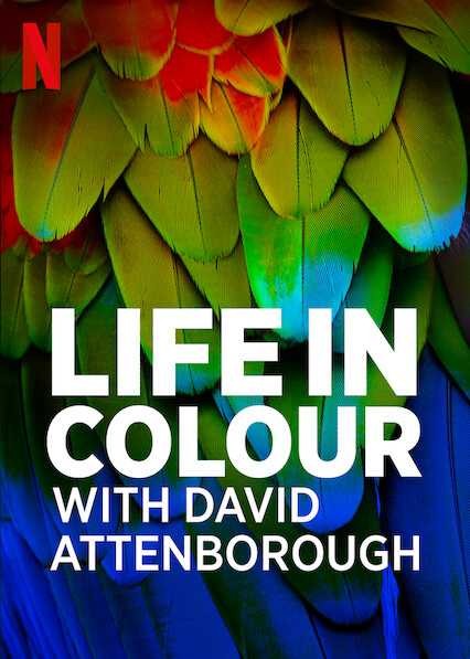 David Attenborough: Sự sống đầy màu sắc | Life in Colour with David Attenborough (2020)