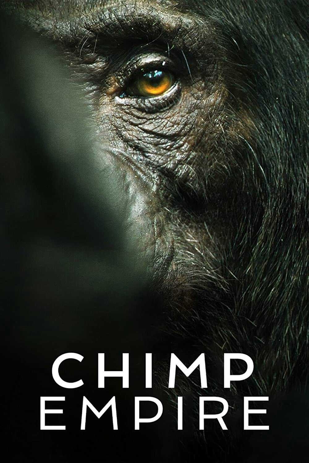 Đế chế tinh tinh | Chimp Empire (2022)