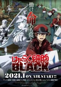 Hataraku Saibou Black | Cells at Work! CODE BLACK! (2021)