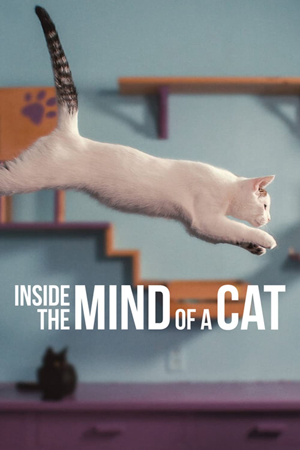 Những Chú Mèo Nghĩ Gì | Inside The Mind Of A Cat (2022)