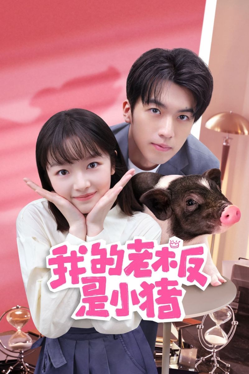 Sếp Của Tôi Là Chú Lợn Nhỏ | My Boss is Little Pig (2024)