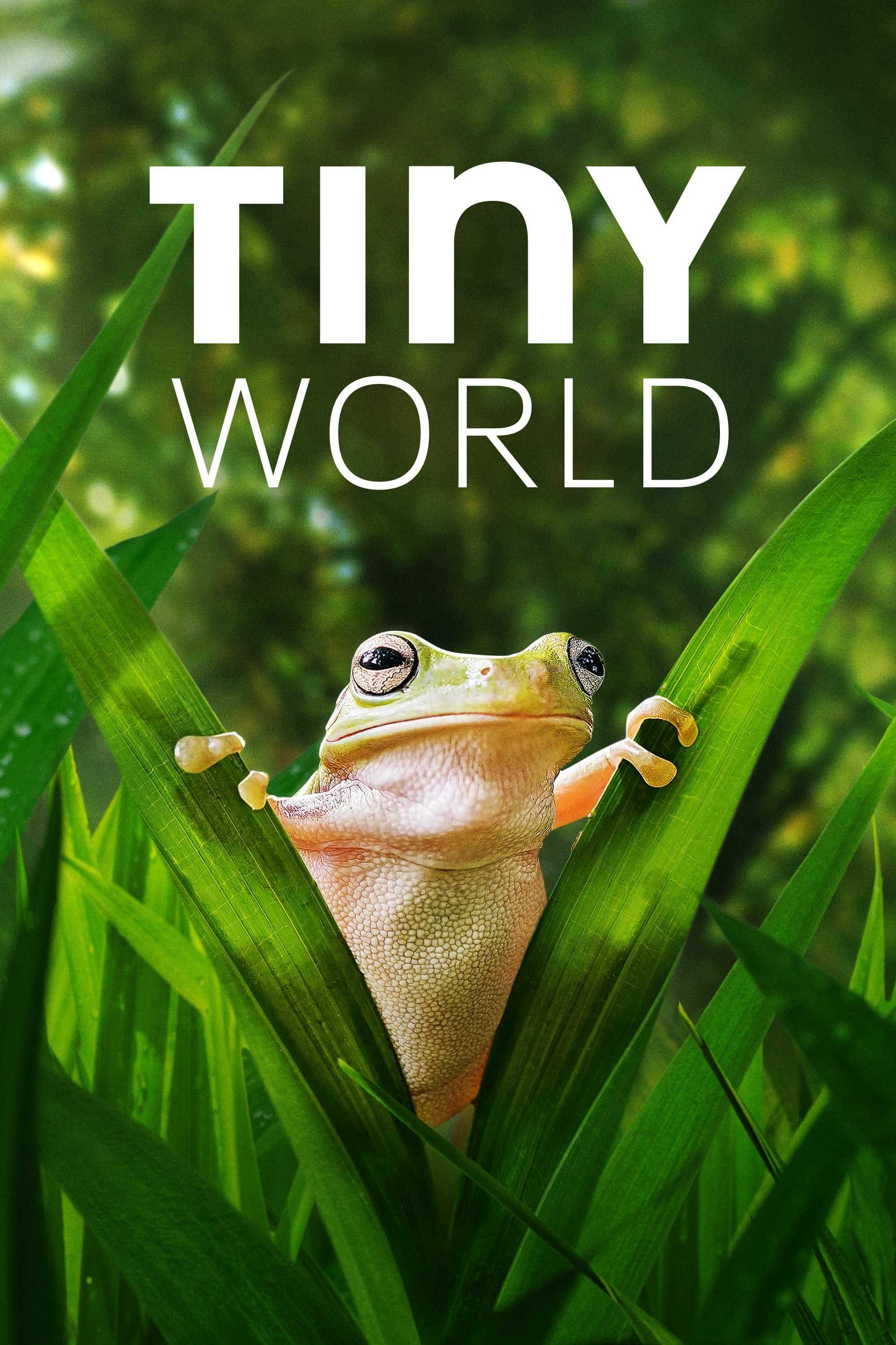 Thế Giới Siêu Nhỏ (Phần 2) | Tiny World (Season 2) (2020)