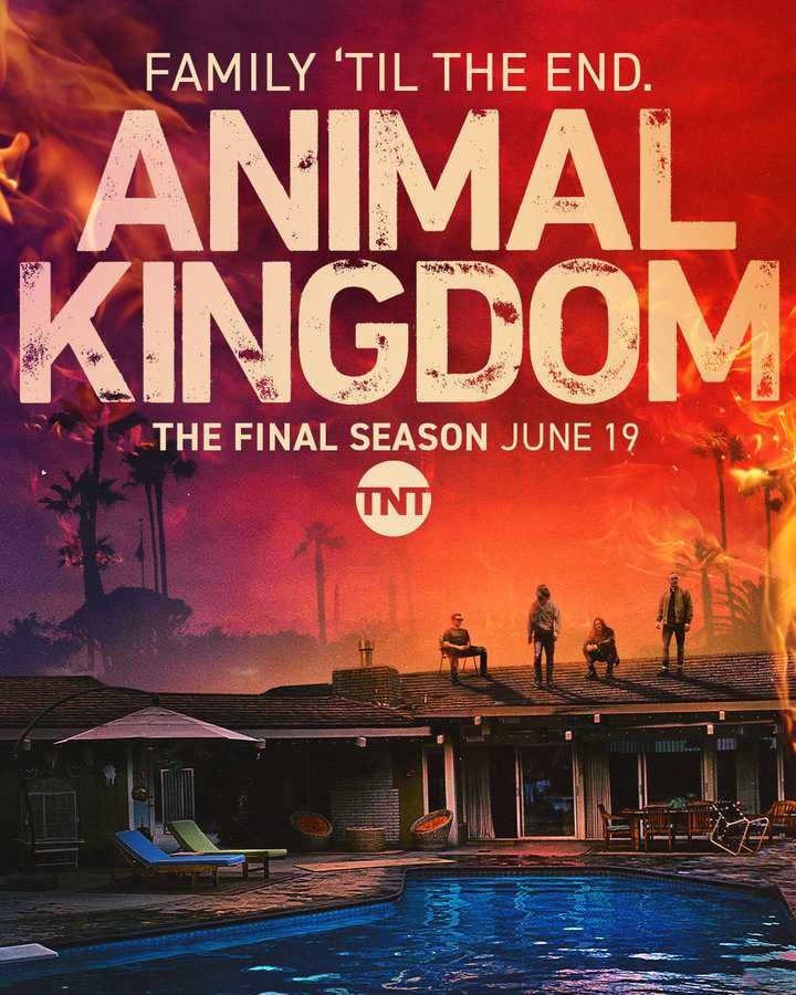 Vương quốc động vật (Phần 6) | Animal Kingdom (Season 6) (2021)