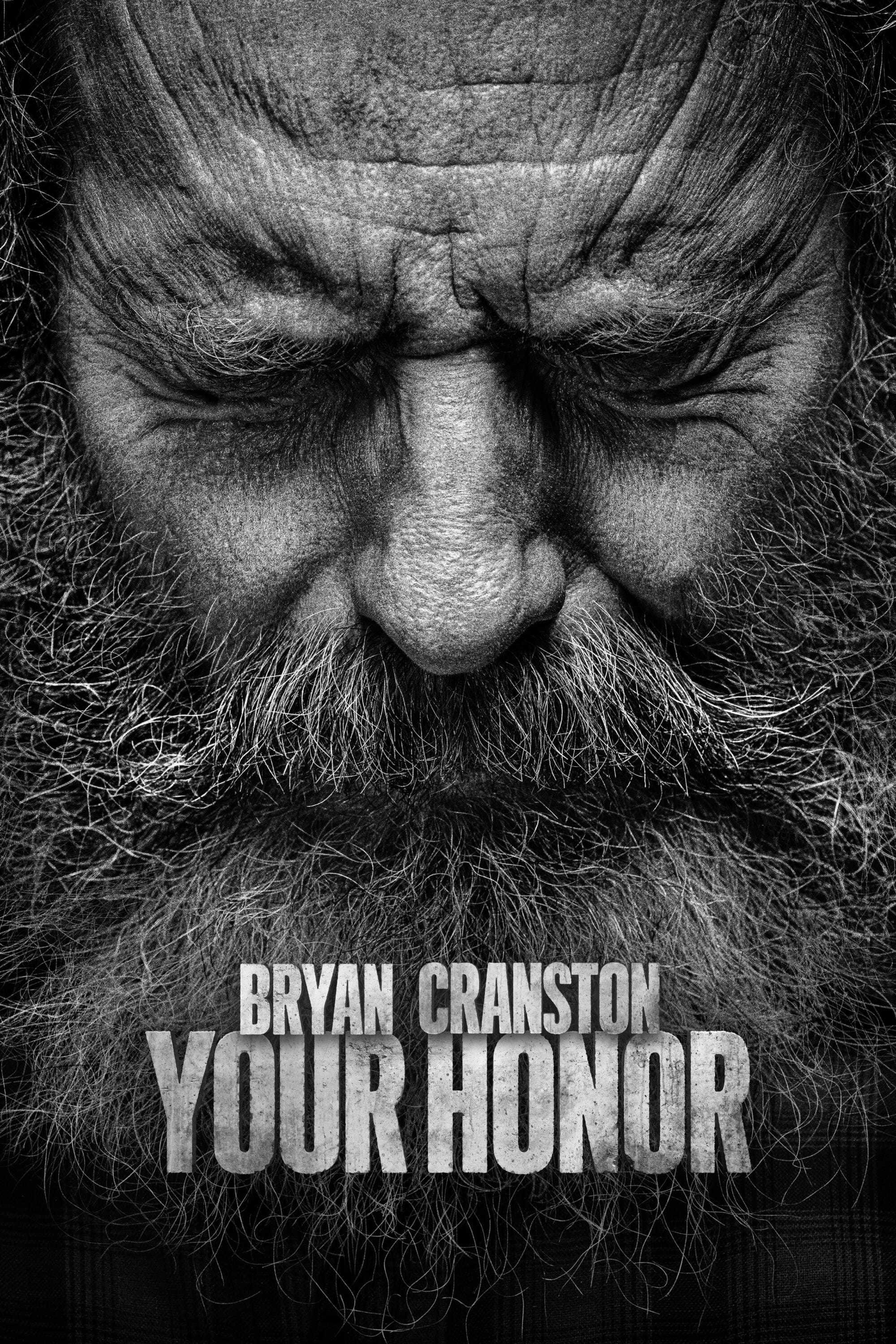 Your Honor (Phần 2) | Your Honor (Season 2) (2022)